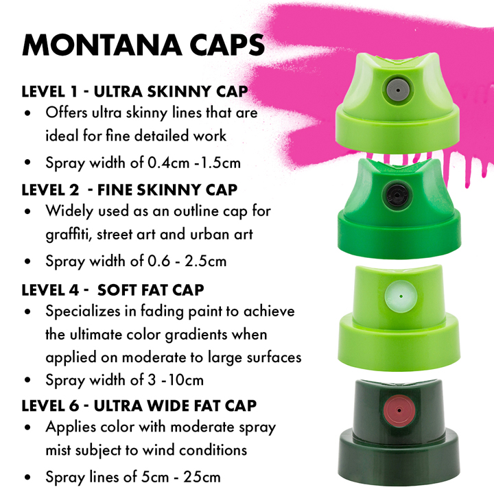 Montana Level 3 Cap