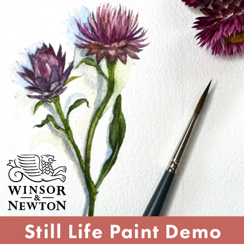 Winsor and Newton Demo Winsor and Newton Demo