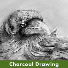 Charcoal
