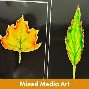 Mixed Media Mixed Media